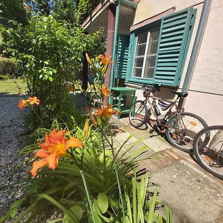 Garden Budha Relax Apartman, Parking, Bbq, Terrace Siofok Luaran gambar