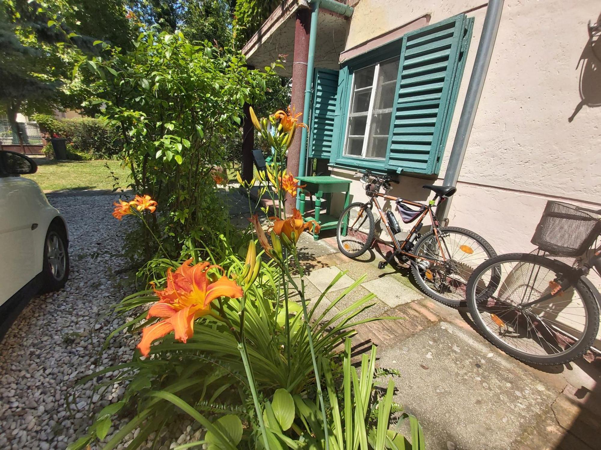 Garden Budha Relax Apartman, Parking, Bbq, Terrace Siofok Luaran gambar