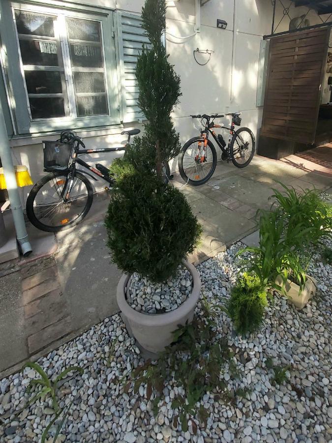 Garden Budha Relax Apartman, Parking, Bbq, Terrace Siofok Luaran gambar