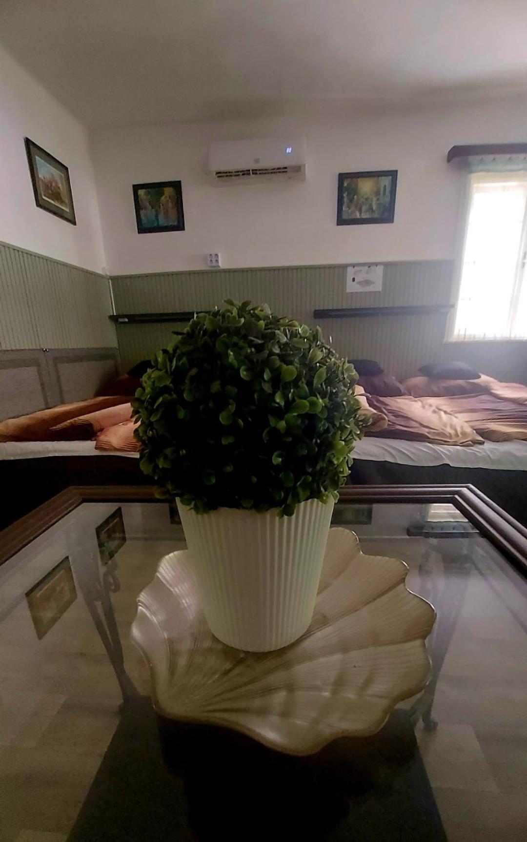 Garden Budha Relax Apartman, Parking, Bbq, Terrace Siofok Luaran gambar